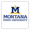 Montana State University logo